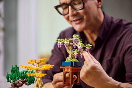 lego mini - LEGO Botanical Mini bonsai 10373 - 8 nuotrauka