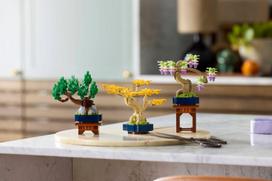 lego mini - LEGO Botanical Mini bonsai 10373 - 11 nuotrauka