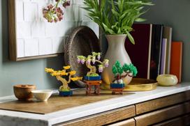 lego mini - LEGO Botanical Mini bonsai 10373 - 12 nuotrauka