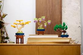 lego mini - LEGO Botanical Mini bonsai 10373 - 13 nuotrauka
