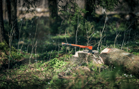 skaldymas - Husqvarna S1600 - 2 nuotrauka