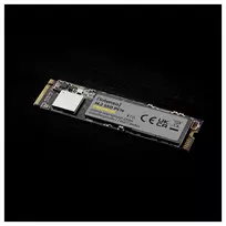 nvme ssd - Intenso Premium 250GB M.2 NVMe SSD - 3 nuotrauka