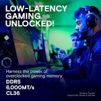 crucial 32gb ddr5 6000 - Crucial Pro Overclocking DDR5 32GB (2x16GB) 6000MHz CL36 Balta (White) - 6 nuotrauka