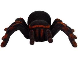 tarantula - REBEL Stalo žaidimas „Ant sparnų“, PL - 3 nuotrauka