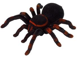 tarantula - REBEL Stalo žaidimas „Ant sparnų“, PL - 4 nuotrauka