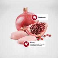 farmina pomegranate - FARMINA N&D chicken & pomegrante adult cat 1.5 kg - 6 nuotrauka