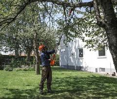 akumuliatorine zoliapjove husqvarna - Aukštapjovė HUSQVARNA 120iTK4-P+PK4+BLi - 8 nuotrauka