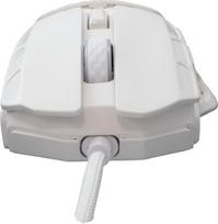 balta pelyte - White Shark GM-5016 Ector Balta (White) - 3 nuotrauka