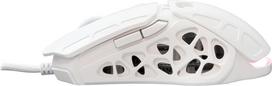 balta pelyte - White Shark GM-5016 Ector Balta (White) - 5 nuotrauka