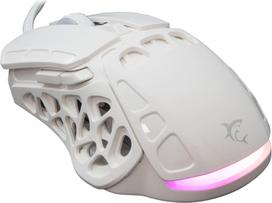 balta pelyte - White Shark GM-5016 Ector Balta (White) - 7 nuotrauka