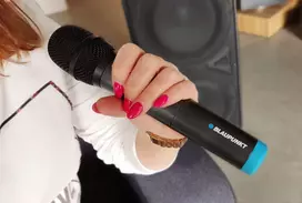 microphone - Blaupunkt WM40U - 5 nuotrauka
