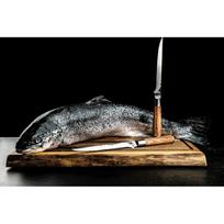 zuvies peilis - Japoniško stiliaus peilis Forged Style De Vie Olive, 385 mm, medis/japoniškas plienas - 5 nuotrauka