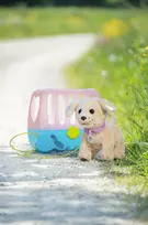 suns transportavimo - Zapf BABY BORN Interaktyvus šuniukas Lucky su transportavimo dėžute - 3 nuotrauka