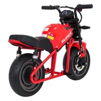 elektrinio transporto - Elektrinis motociklas SUPERMOTO, Red - 22 nuotrauka