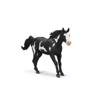 schleich horse club - Schleich Paint Horse Gelding 13885 - 2 nuotrauka