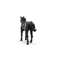 schleich horse club - Schleich Paint Horse Gelding 13885 - 4 nuotrauka