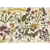 vaistiniai augalai - Trefl Herbarium Medicinal Herbs 37478, 500 det. - 2 nuotrauka