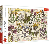vaistiniai augalai - Trefl Herbarium Medicinal Herbs 37478, 500 det. - 3 nuotrauka