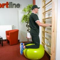 gimnastikos strypai - Švediška gimnastikos sienelė inSPORTline Steadyline 220x80cm - 2 nuotrauka
