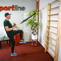gimnastikos strypai - Švediška gimnastikos sienelė inSPORTline Steadyline 220x80cm - 3 nuotrauka