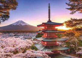 Ravensburger Fuji Cherry Blossom View, 1000 det.