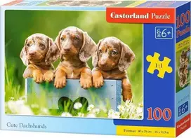 Castorland Mieli taksai, 100 det.