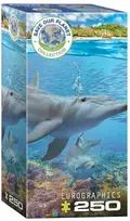 Eurographics Delfinai, 250 det.