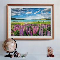Clementoni Lupins At Lake Tekapo 31731, 1500 det.