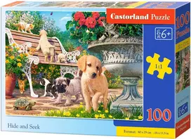 Castorland Hide And Seek 477123, 100 det.