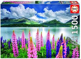 Educa Lupins on Lake Sils, Switzerland, 1500 det.