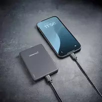 Intenso MW10000, 10000mAh, pilkas (grey)