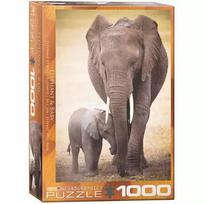 Castorland Dramblys su Jaunikliu, 1000 det.