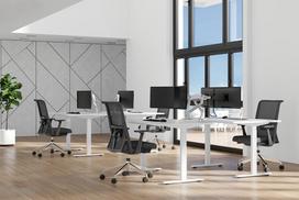 18 monitor - MONITOR ACC DESK MOUNT 17-35"/DS70S-950WH2 NEOMOUNTS - 9 nuotrauka