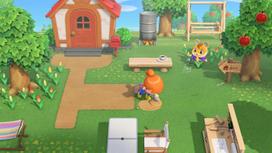 nintendo switch zaidimai - Animal Crossing: New Horizons, Nintendo Switch 2 - Žaidimas - 3 nuotrauka