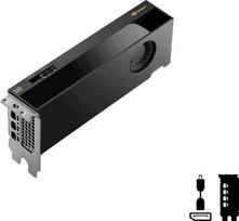 quadro 4000 - PNY Quadro RTX PRO 4000 Blackwell 24GB GDDR7 (Juodas/Black) - 4 nuotrauka