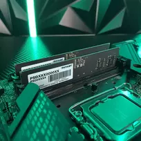 operatyvioji atmintis - Patriot Memory Signature Line atminties modulis 16GB 1 x 16GB DDR5 5600 MHz (PSD516G56002) - 5 nuotrauka