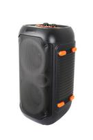 nesiojama kolonele - Esperanza EP156 BT FM LED RGB KARAOKE garsiakalbis Juodas (Black) 20W - 6 nuotrauka
