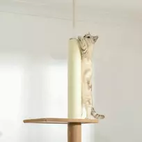 kaciukai medis - PawHut reguliuojamo aukščio draskyklė katėms, laipynė, žaidimų medis, chaki spalvos, 43x27x228-260cm - 2 nuotrauka