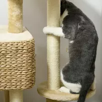 kaciu namelis - PawHut kačių draskyklė, 98 cm, su 2 gultais, žaisliniu kamuoliuku, katėms iki 6kg, kačių baldai, sizalis, smėlio spalvos - 4 nuotrauka