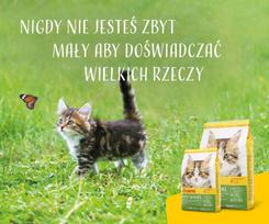 josera kitten - Josera Kitten Grainfree 400 g - 4 nuotrauka