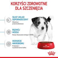 sausas maistas mazu veisliu sunims - ROYAL CANIN Mini Puppy / Junior 16 kg (2 x 8 kg) sausas maistas šuniukams nuo 2 iki 10 mėnesių amžiaus, mažoms veislėms - 7 nuotrauka