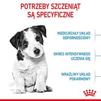 sausas maistas mazu veisliu sunims - ROYAL CANIN Mini Puppy / Junior 16 kg (2 x 8 kg) sausas maistas šuniukams nuo 2 iki 10 mėnesių amžiaus, mažoms veislėms - 12 nuotrauka