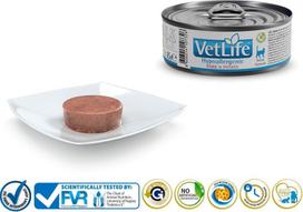 bulves kg - Šlapias kačių maistas Farmina Vet Life Hypoallergenic Pork & Potato, kiauliena/bulvės, 0.085 kg - 3 nuotrauka