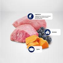 mini - Sausas šunų maistas Farmina N&D Pumpkin Lamb & Blueberry Puppy Mini 2.5kg - 6 nuotrauka