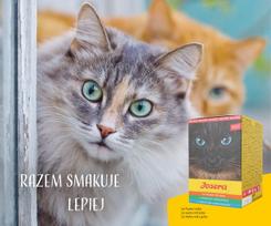 kaciukams josera - Šlapias kačių maistas Josera, žuvis, 0.07 kg, 6 vnt. - 2 nuotrauka