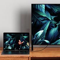 typos - Tech-Protect UltraBoost USB-C į DisplayPort 1.4 8K 60Hz kabelis 180cm Juodas (Black) - 4 nuotrauka