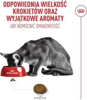 royal canin sausas maistas katems - ROYAL CANIN FHN C Fussy Exigent sausas pašaras katėms, 2 kg - 5 nuotrauka