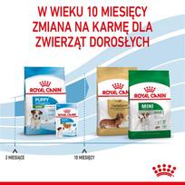 mini - Royal Canin Mini Puppy sausas maistas šuniukams, 2 kg - 2 nuotrauka