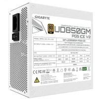 ice 100 - Gigabyte UD850GM PG5W 850W, 80 PLUS Gold, Fully Modular Balta (White) - 4 nuotrauka