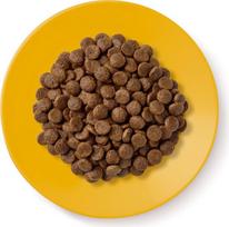 cat applaws - Applaws sausas maistas su vištiena pagyvenusioms katėms, 2 kg - 3 nuotrauka